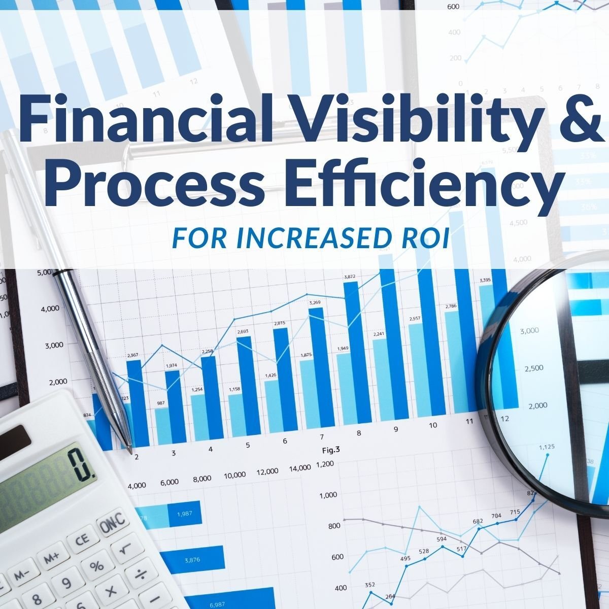 Financial Visibility and Process Efficiency